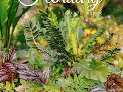 -国家植物园南园