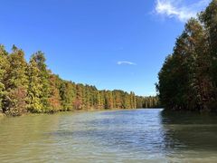 -上海海湾国家森林公园