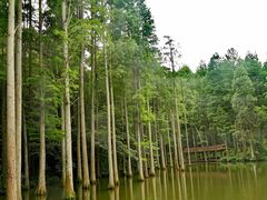 -波尔登森林公园