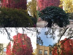 -辽宁大学(崇山校区)