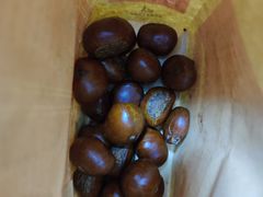 -小宝栗子(嘉华国际商业中心店)