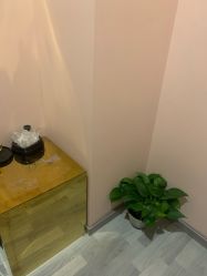 -汐月Health纤体spa中心