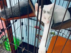 -iF摄影•全家福•证件照•形象照(南山店)