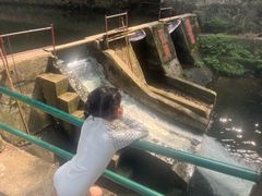 -青龙双河漂流