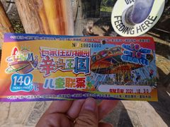 -辛玛王国游乐园