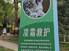 -青藏高原野生动物园