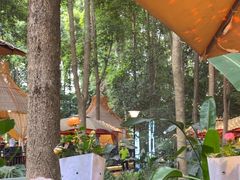 -二荆条·蜀鲜汇城市森林火锅