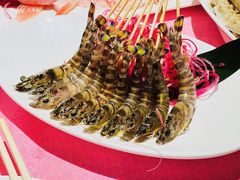 斑节虾-行家海鲜火锅酒家(静安寺店)