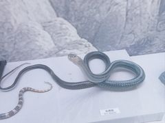 -北京中医药大学-中医药博物馆