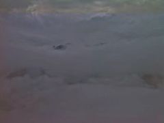 -陕西省红河谷森林公园