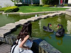 -行者书屋大堂吧 ·下午茶(南京圣和府邸酒店)