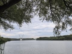 -牛牛牛酸菜煎肉店(望云寺路店)