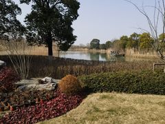 -苏州太湖国家湿地公园