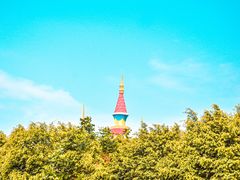 -巨鹏飞梦幻海岸