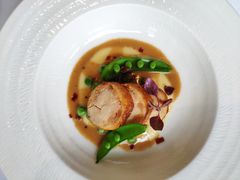 -蝶舍·MAISON PAPILLON