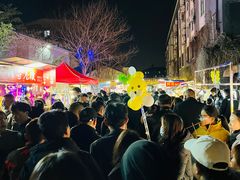 -南湖公园地摊集市