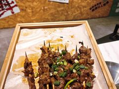 -山野的朋友露营炭火烤肉