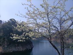-千岛湖东南湖区