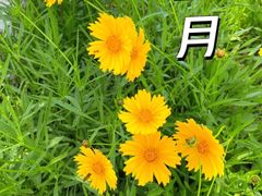 -滆湖低碳生态公园