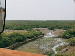 -北海金海湾红树林生态旅游区