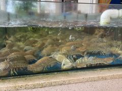 -兄弟纯天然海鲜城