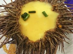 野生紫海胆蒸蛋-郭姐·威海渔村(黄兴路店)