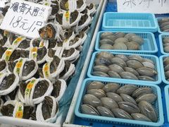 -南沙十九涌渔人码头-南门