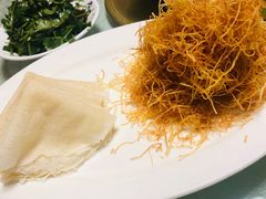 -丁老爷子苏香圆