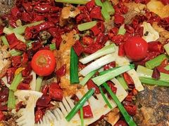 -老板恋上鱼(恒隆广场店)