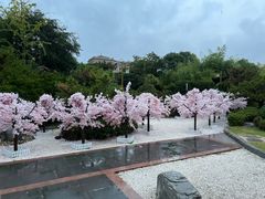 -郑州银基黄帝宫御温泉