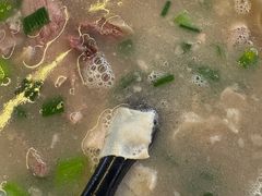 -铁谢李松祖传羊肉汤馆