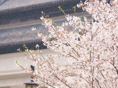-苏州上方山国家森林公园