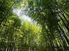 -江宁织造博物馆