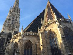 -斯蒂芬主教座堂(Stephansdom)