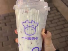 -一只酸奶牛(双流万达广场店)