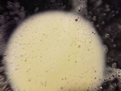 -炉鱼(云澜湾店)