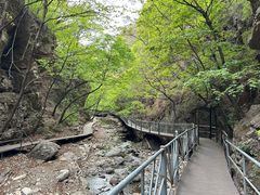 -九龙潭景区