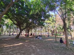 -深圳湾公园(南山区)