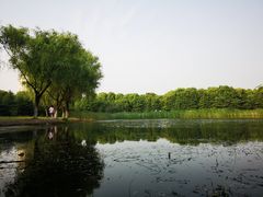 -苏州河梦清园环保主题公园