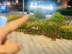-苏州洲际酒店·大堂酒廊