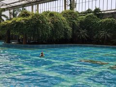 -龙达温泉生态城