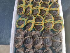 -有腥气私房菜·寻味顺德