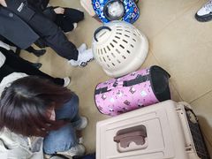 -灵美宠物诊所