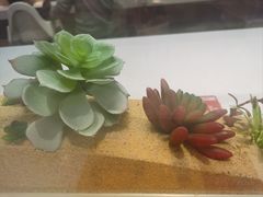 -牛汤哥慢熬牛肉汤(五道口店)