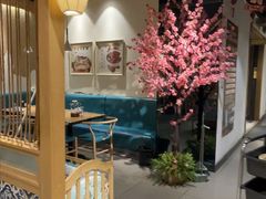 -黑家养生粥道馆(新世纪店)