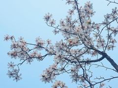 -杭州植物园