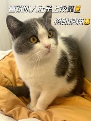 -ChuLian初莲日式美甲美睫