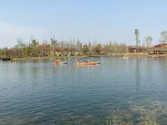 -白鹭湾湿地公园