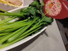 -海底捞火锅(5050购物中心店)