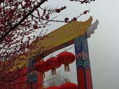 -香雪海